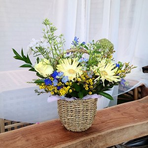 흰내 기념일 옐로우 거베라 생화 혼합 꽃바구니 꽃배달 선물 서울 경기지역만 배송가능