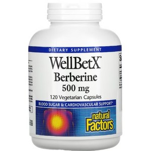 WellBetX 베르베린 500mg 식물성 120정 약 4달분, 1개