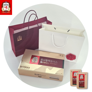 정관장 홍삼활력 플러스 꽃 코사지 수제 쇼핑백 포함 선물세트, 1.2L, 1개