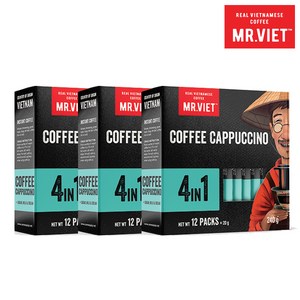 베트남커피 4in1 카푸치노 12T X 3박스 미스터비엣 인스턴트, 20g, 12개입, 3개