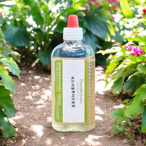 [더위치] 족도리풀뿌리추출물 100ml 세신추출물 Asarum Sieboldii Root Extract, 1개