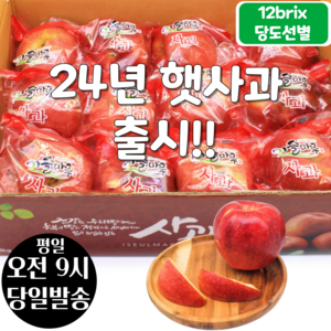 [오전8시 주문건 당일발송] 12브릭스 당도선별 세척사과 3kg (12~15입 중과), 3kg (12~15입), 1개