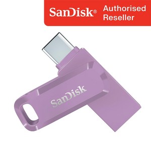 샌디스크 USB 메모리 DDC3 퍼플 C타입 OTG 3.2 대용량 [10개이상 무료 각인], 256GB