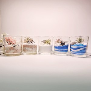 틸란드시아 테라리움 DIY 세트, 바다(겨울)_봄날의토끼, 1개