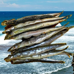 반건조 양미리 동해안 산지직송 띵작상점, 1개, 500g