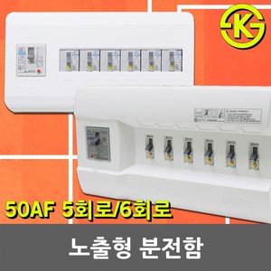 노출형 분전반 분전함 5회로 6회로 차단기함 배전함 배전반 완전조립형 누전차단기 배선차단기 5분기 6분기 30AF 50AF 차단기박스 차단기 국산 전기 차단기포함 3회로 4회로, 04. 상도전기 노출형 분전함 6회로, 1개