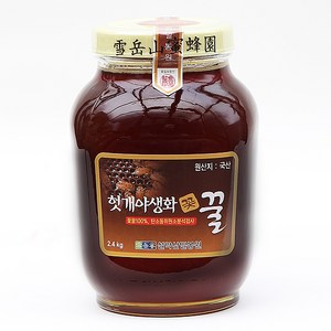 설악산허니팜 꽃꿀100% 헛개야생화꿀, 2.4kg, 1개