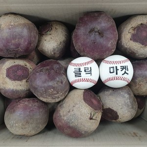 클릭마켓 제주비트 빨간무 레드비트 5kg 10kg ABC쥬스 비트즙 비트차 비트가루 용, 2kg x 1box, 1개