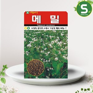 솔림텃밭몰 메밀씨앗 30g 메밀 꽃씨앗 웰빙메밀씨앗, 1개