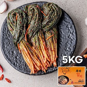 제이비 파김치 중국산 업소용 수입 쪽파김치, 1개, 5kg