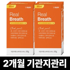 펫생각 리얼 브레스 반려견 강아지 기관지 영양제 협착증 기침 면역력 호흡기 켁켁거림 거위소리 66g, 2박스