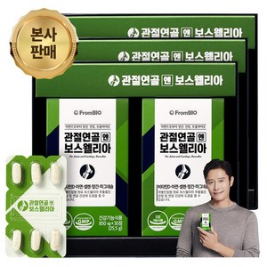 [본사기획 세트]프롬바이오 이병헌의 관절연골엔 보스웰리아 개별인정형 비타민D 마그네슘 망간 아연 1일 섭취량 100%, 3세트, 60정