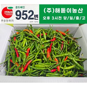 <해돋이농산> 국내산 못난이 햇 청양고추 매운고추 상품 10kg (1박스)반홍, 10kg(상), 1개