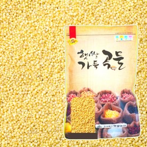 추천8노란쌀
