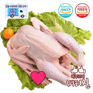 (당일출돼지) 보신용 노계닭 산란계 쫄깃한 식감, 1.5kg, 3개