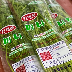 청도 한재로 미나리 1kg (당일수확/산지직송), 1개