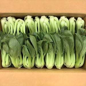 클릭마켓 국내산 청경채 1kg 마라탕 샤브샤브 용, 1개