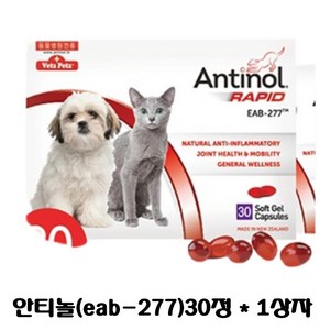 안티놀 래피드 30정 (강아지 고양이 관절영양제), 뼈/관절강화, 1개