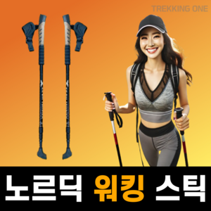 트레킹원 노르딕 워킹 스틱 전용 워킹 스틱, 1개