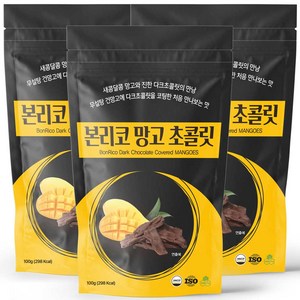 본리코 망고 다크 초콜릿, 100g, 3개