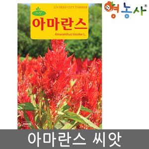 아마란스 씨앗 3000립 아마란스씨 종자 키우기, 1개