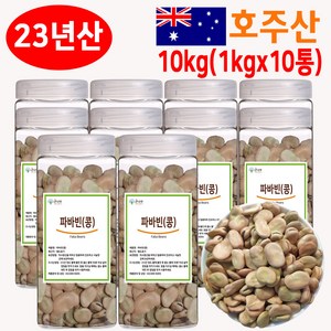 The큰나무 호주산 파바빈 콩 1kg 원물 23년산 햇 파바빈 수입사 직판 TV홈쇼핑 공급사, 10개