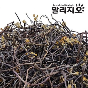 말리지오 고사리 보통 상급, 1개, 1kg(보통)