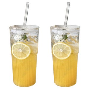 Y플러스원 내열유리 빅 텀블러 2p, 반투명, 650ml