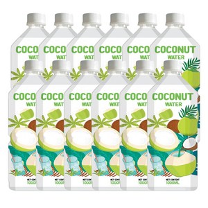 RFC비넛 코코넛 워터 100%, 1000ml, 12개
