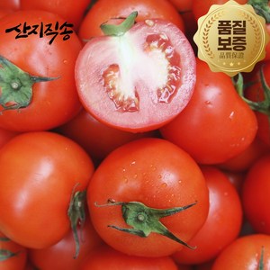 [고객만족도1위] 당일수확 최상급 완숙 찰토마토 3kg 5kg 정품 로얄과, 1박스, 완숙찰토마토 중과 3kg