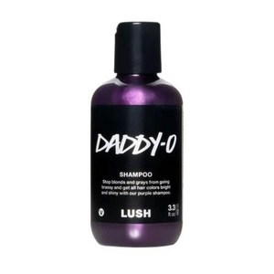러쉬 캐나다 샴푸 250ml LUSH SHAMPOO, 페어리 트레디드 허니(500ml), 1개