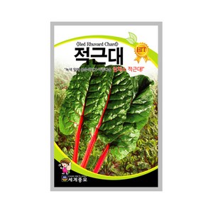 적근대 200립 근대씨앗 지방축적 방지 치아 건강, 1세트