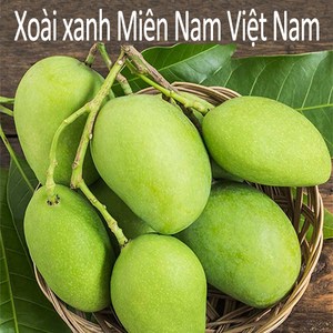 Thomy 베트남 항공직송 그린망고 2.5kg 5kg (Xoai keo tuong tu quy hat lep), 1개, Xoai hat lep 5kg