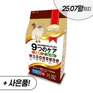 나인케어 체형관리 캣 고양이 사료, 1개, 1.2kg