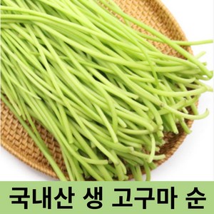 [당일채취] 국내산 당일채취 생 고구마순 400g 1kg 싱싱한 고구마줄기 줄거리 청대 고구마순줄기 고구마순400g 고구마순1kg, 1개