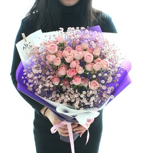 플라로마 미니장미 50송이+안개꽃다발 당일발송가능 화이트데이 어버이날 성년의날 부부의날 기념일선물 지정일예약 전국배송, 연핑크