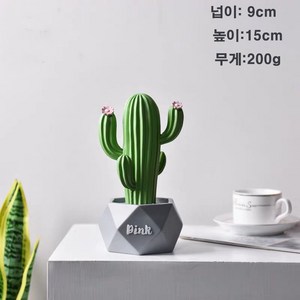 수기점포 미니 선인장 화분, 1개, 녹색5입