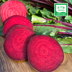 산지직송 유기농 햇 레드 비트, 3kg, 1박스