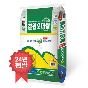 밥선생 동송농협 철원오대쌀 20kg, 상등급, 1개