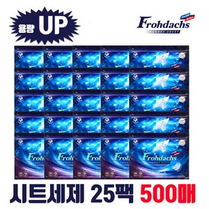 [대용량] 프로닥스 초고농축 시트형 세탁세제 총 500매, 20개입, 25개