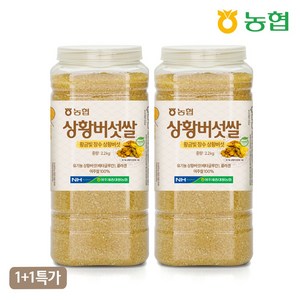 [1+1 특가] 농협 하나로라이스 상황 버섯쌀 대용량 [유기농 상황버섯원료], 2개, 2.2kg