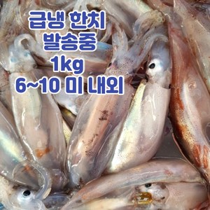 국내산 미니 총알 한치, 1kg, 1개