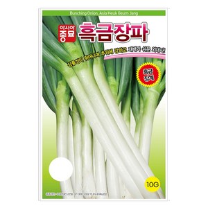 아시아종묘 씨앗 파 흑금장파 10g, 1개