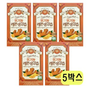 홀베리 그대로 짜낸 유기농 레몬 생강즙 14p, 210g, 5박스