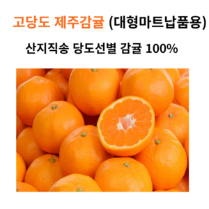 상훈이네농장 제주 햇 감귤 조생귤 첫출하 5kg 10kg, 1박스, 2kg소과