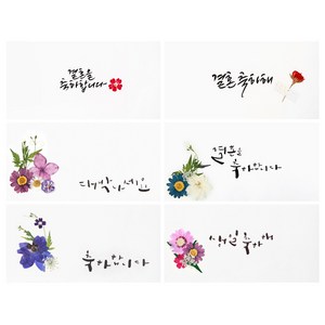 어버이날 용돈봉투 압화현금봉투 부모님용돈봉투 현금선물 캘리그라피봉투 축하봉투 경조사봉투 결혼축하봉투 축의금봉투 사랑합니다 오래오래건강하세요, 축하시리즈(6매)