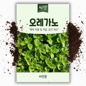 씨앗팜 허브 오레가노 씨앗 (200립), 1개