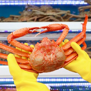 러시아대게 활대게 박달대게 동해직송 1kg, 생물로 보내주세요, 1개