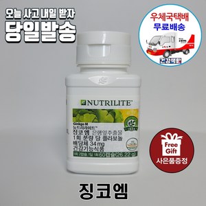 암웨이 징코엠 (60캡슐) 징코M + 치약&칫솔세트 [우체국택배]