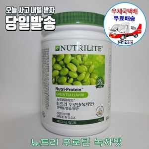 암웨이 뉴트리 푸로틴 (녹차맛) + 사은품 (겨드랑이 땀패드) [우체국택배], 450mm, 1